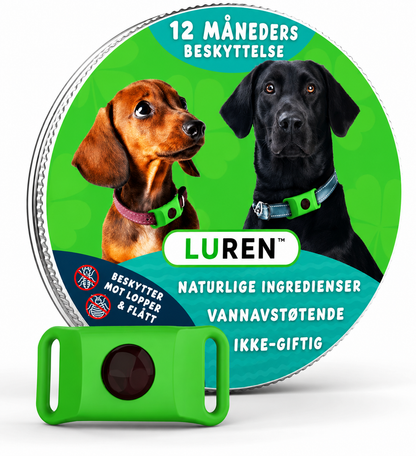 Flåttfritt For Hunder