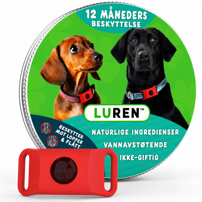 Flåttfritt For Hunder