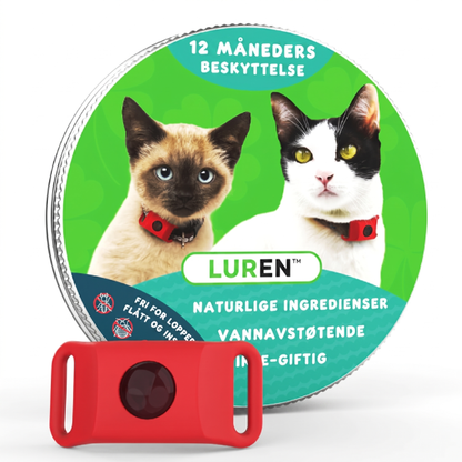 Flåttfri For Katter