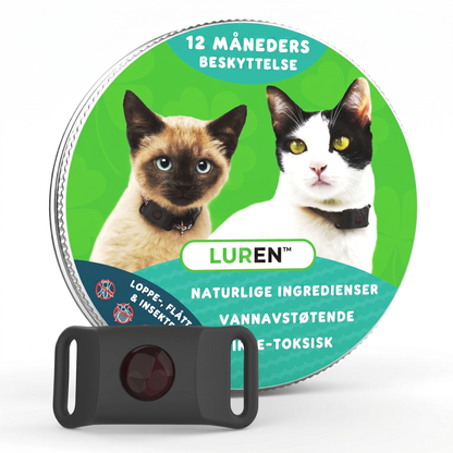 Flåttfri For Katter