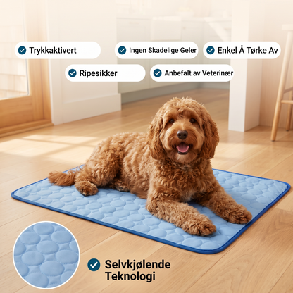 Kylmatta för hund