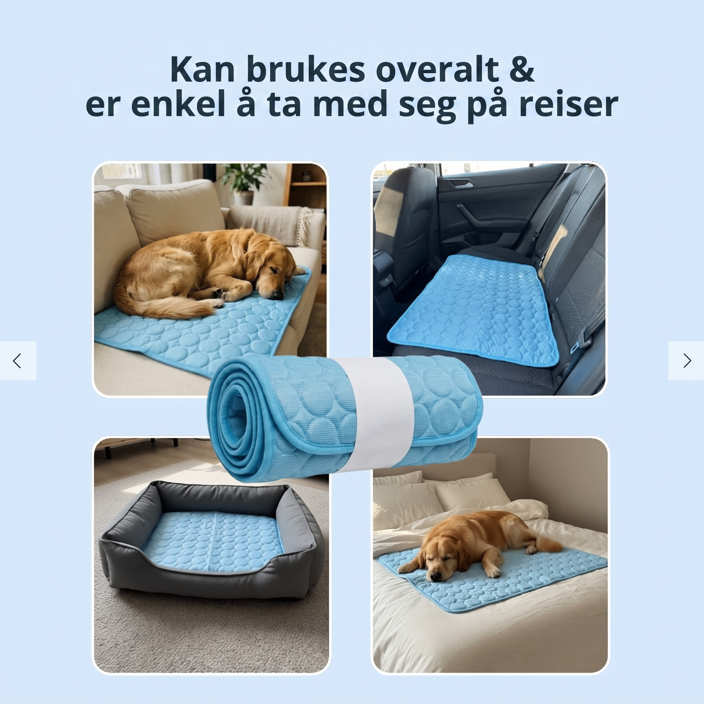 Kylmatta för hund