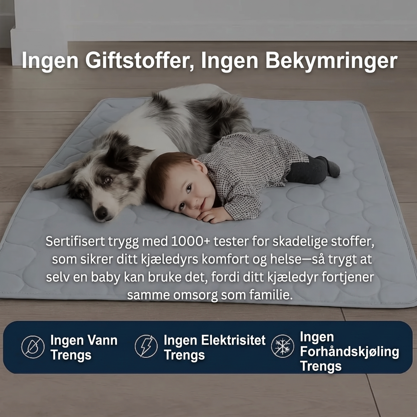 Kylmatta för hund