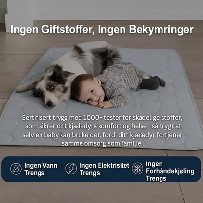 Kylmatta för hund